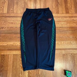 Y2K Minnesota Wild pants‎